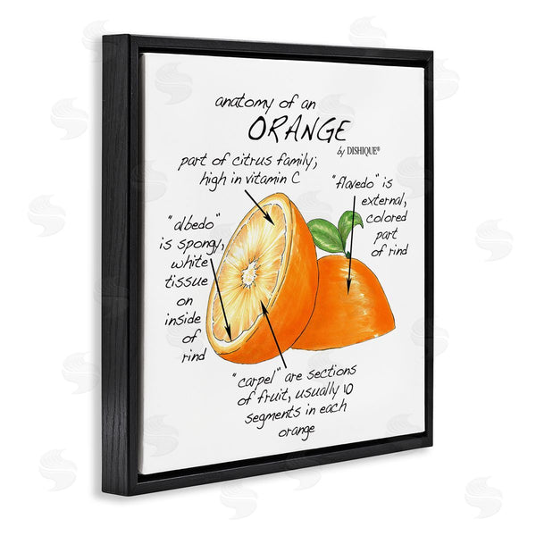Stupell Industries Dishique | Orange Citrus Fruit Chart Informative Learning Diagram Wall Art