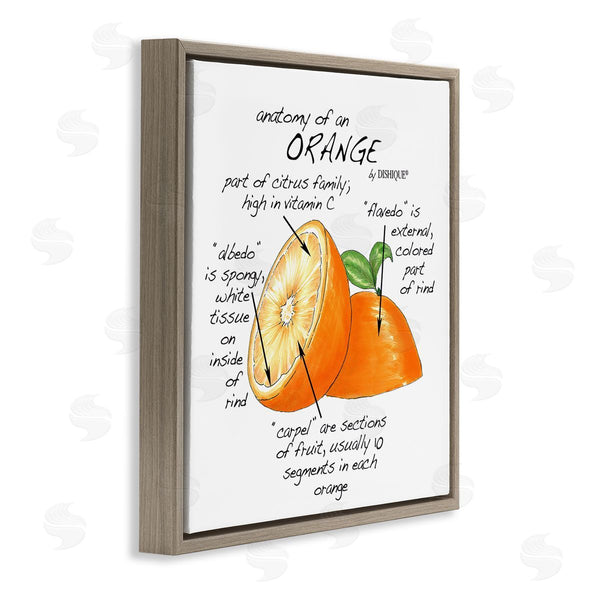 Stupell Industries Dishique | Orange Citrus Fruit Chart Informative Learning Diagram Wall Art