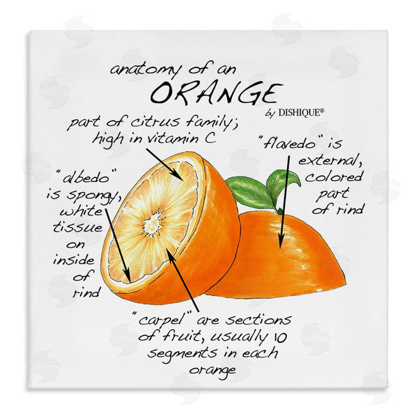 stupell industries Dishique | Orange Citrus Fruit Chart Informative Learning Diagram Wall Art