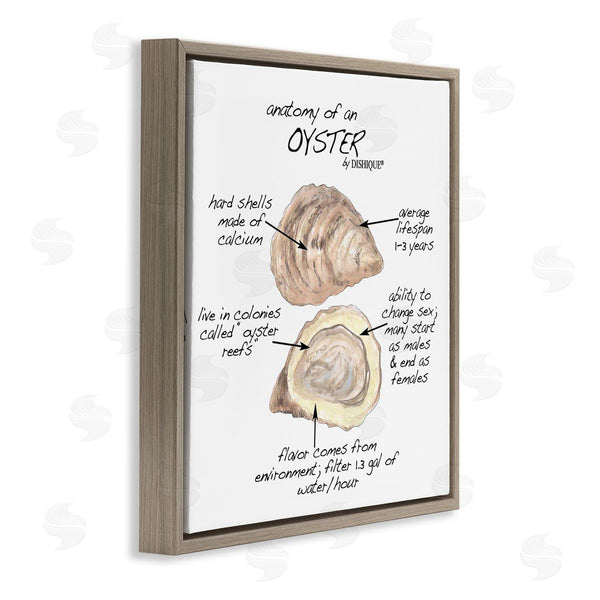 Stupell Industries Dishique | Oyster Marine Life Anatomy Facts Educational Diagram Wall Art
