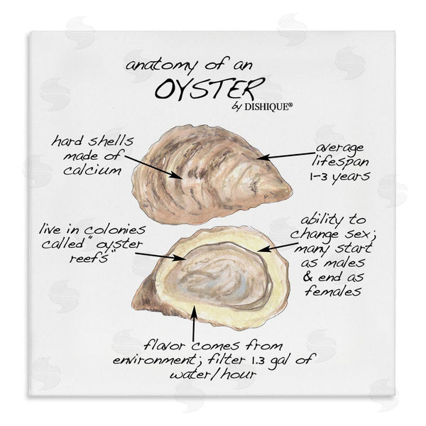stupell industries Dishique | Oyster Marine Life Anatomy Facts Educational Diagram Wall Art