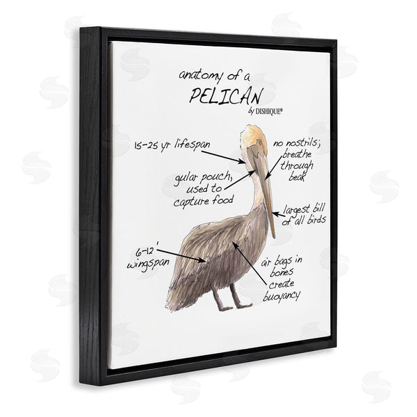 Stupell Industries Dishique | Pelican Sea Bird Animal Educational Anatomy Diagram Wall Art