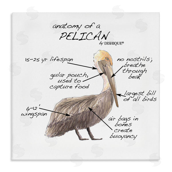 stupell industries Dishique | Pelican Sea Bird Animal Educational Anatomy Diagram Wall Art