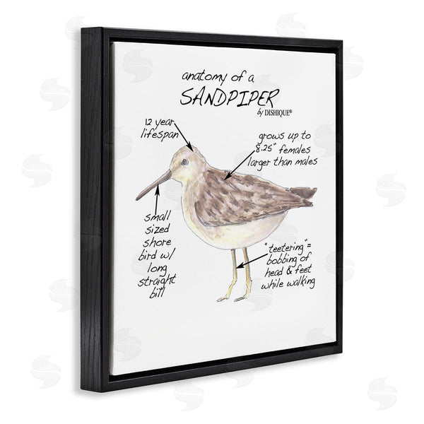 Stupell Industries Dishique | Sandpiper Beach Bird Wildlife Learning Facts Chart Wall Art