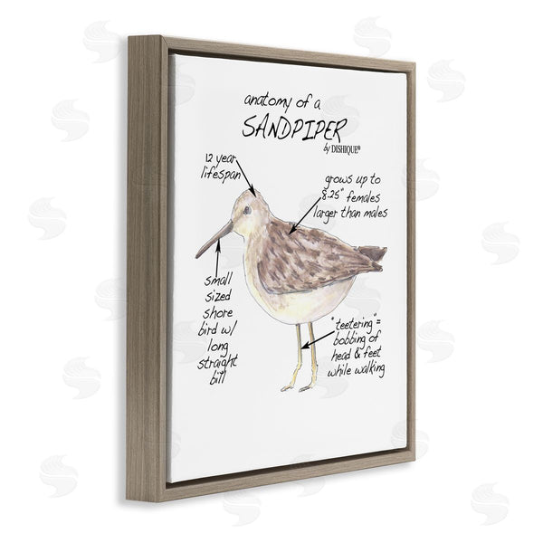 Stupell Industries Dishique | Sandpiper Beach Bird Wildlife Learning Facts Chart Wall Art