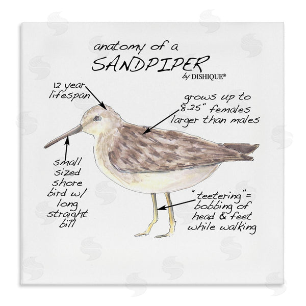 stupell industries Dishique | Sandpiper Beach Bird Wildlife Learning Facts Chart Wall Art