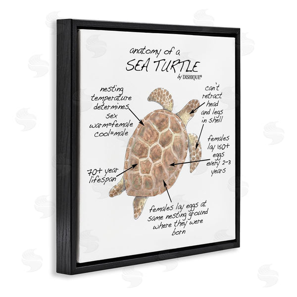 Stupell Industries Dishique | Sea Turtle Anatomy Marine Life Animal Chart Wall Art