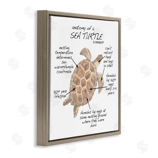 Stupell Industries Dishique | Sea Turtle Anatomy Marine Life Animal Chart Wall Art