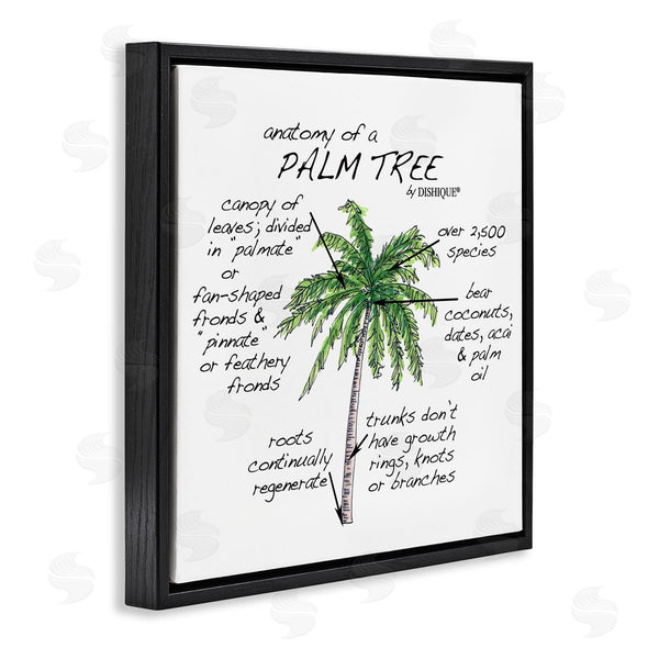 Stupell Industries Dishique | Tropical Palm Tree Educational Plants Flora Diagram Wall Art