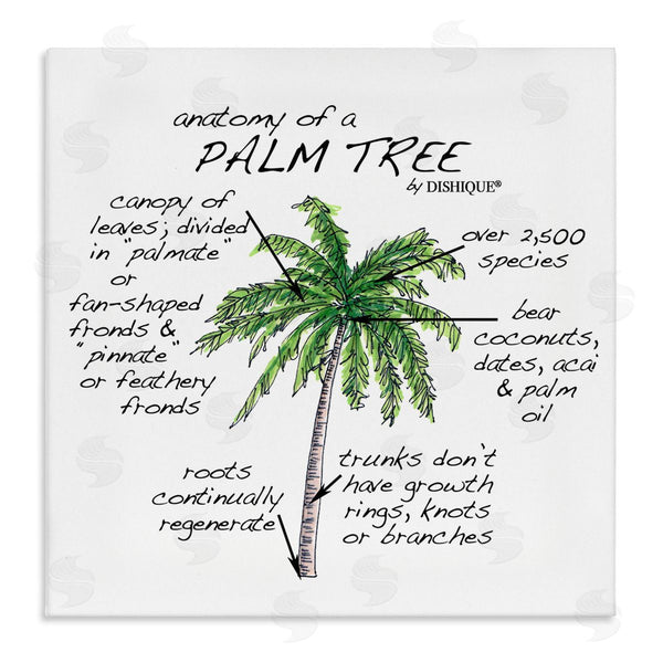 stupell industries Dishique | Tropical Palm Tree Educational Plants Flora Diagram Wall Art