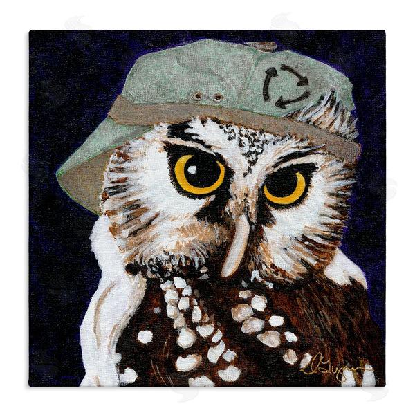 stupell industries Dlynn Roll | Owl Wearing Hat Wall Art