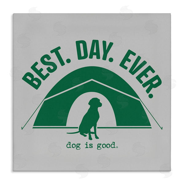 stupell industries Dog Is Good | Best Day Camping Dog Wall Art