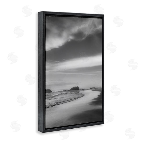 Stupell Industries Don Schwartz | Grayscale Beach Shore