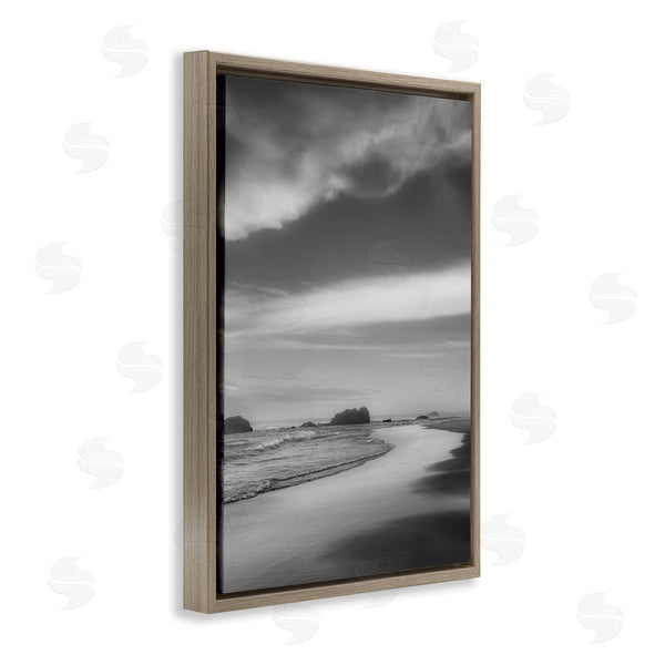 Stupell Industries Don Schwartz | Grayscale Beach Shore