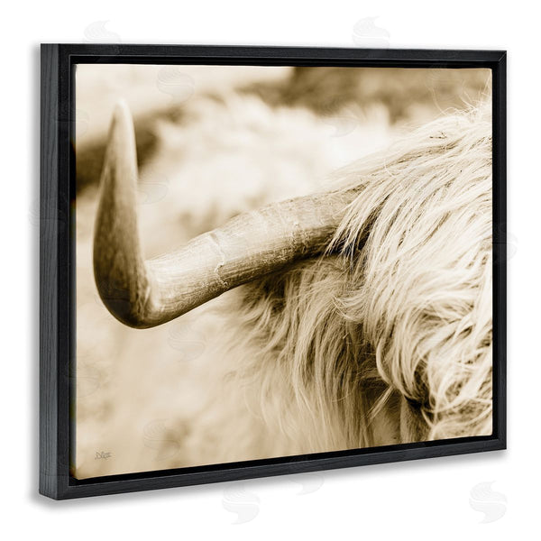 Stupell Industries Donnie Quillen | Beautiful Longhorn Highland Cattle Horn Sepia Photography Wall Art