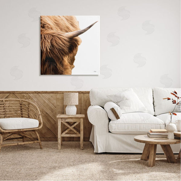Stupell Industries Donnie Quillen | Close Up Cattle Horn Photography Wall Art