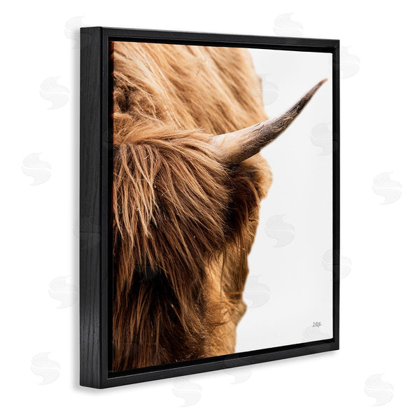 Stupell Industries Donnie Quillen | Close Up Cattle Horn Photography Wall Art