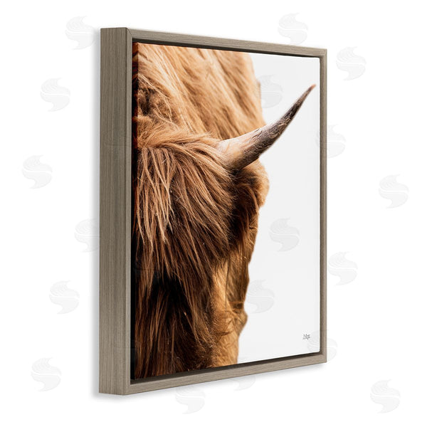 Stupell Industries Donnie Quillen | Close Up Cattle Horn Photography Wall Art
