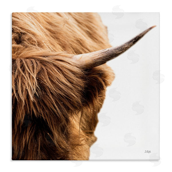 stupell industries Donnie Quillen | Close Up Cattle Horn Photography Wall Art