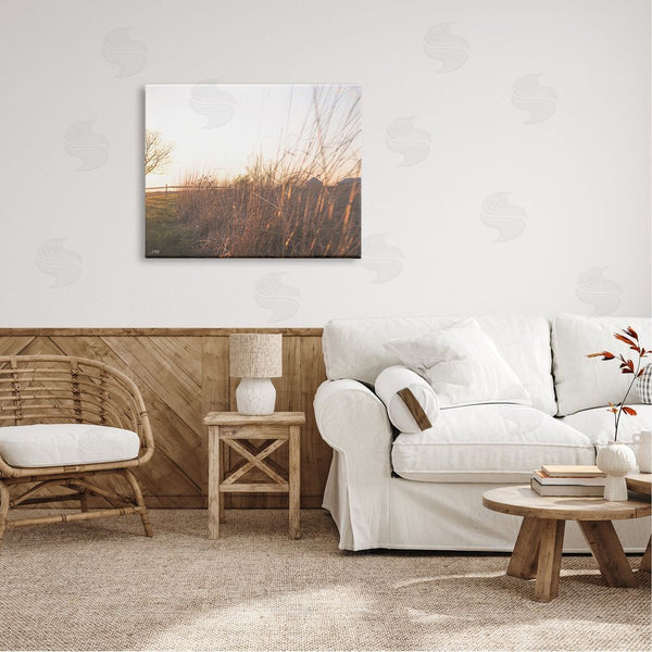 Stupell Industries Donnie Quillen | Countryside Field Tall Grass Summer Sunshine Rays Wall Art