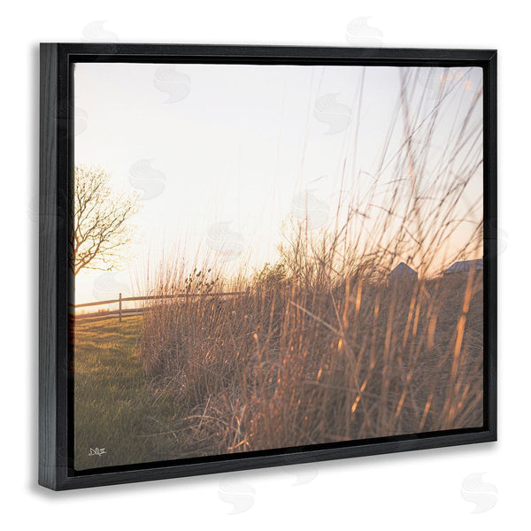 Stupell Industries Donnie Quillen | Countryside Field Tall Grass Summer Sunshine Rays Wall Art