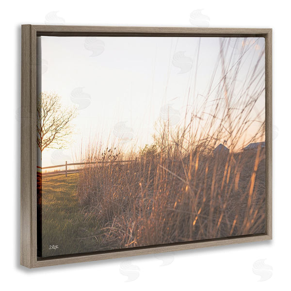 Stupell Industries Donnie Quillen | Countryside Field Tall Grass Summer Sunshine Rays Wall Art