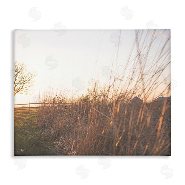 stupell industries Donnie Quillen | Countryside Field Tall Grass Summer Sunshine Rays Wall Art