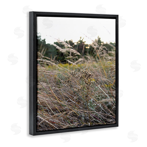 Stupell Industries Donnie Quillen | Countryside Meadow Blooming Reeds Tall Grass Buds Wall Art