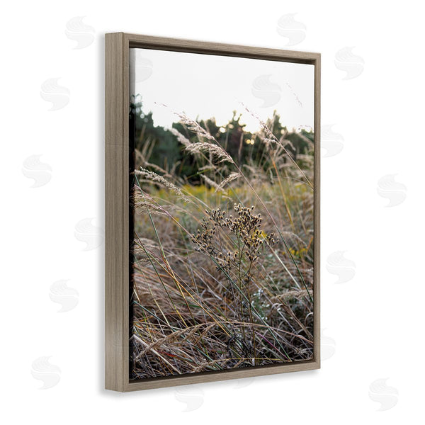 Stupell Industries Donnie Quillen | Countryside Meadow Blooming Reeds Tall Grass Buds Wall Art