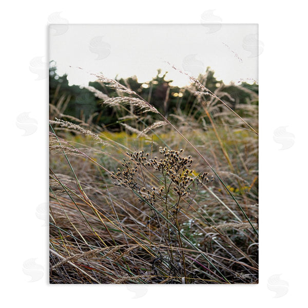 stupell industries Donnie Quillen | Countryside Meadow Blooming Reeds Tall Grass Buds Wall Art