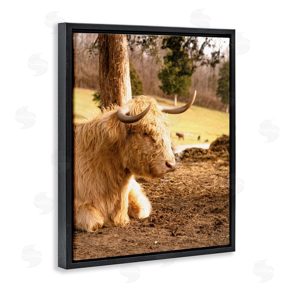 Stupell Industries Donnie Quillen | Relaxing Cattle Lying Beneath Tree Grazing Farmland Meadow Wall Art