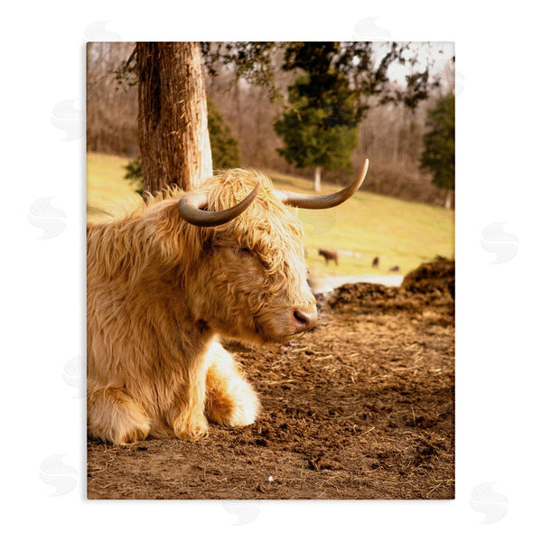 stupell industries Donnie Quillen | Relaxing Cattle Lying Beneath Tree Grazing Farmland Meadow Wall Art