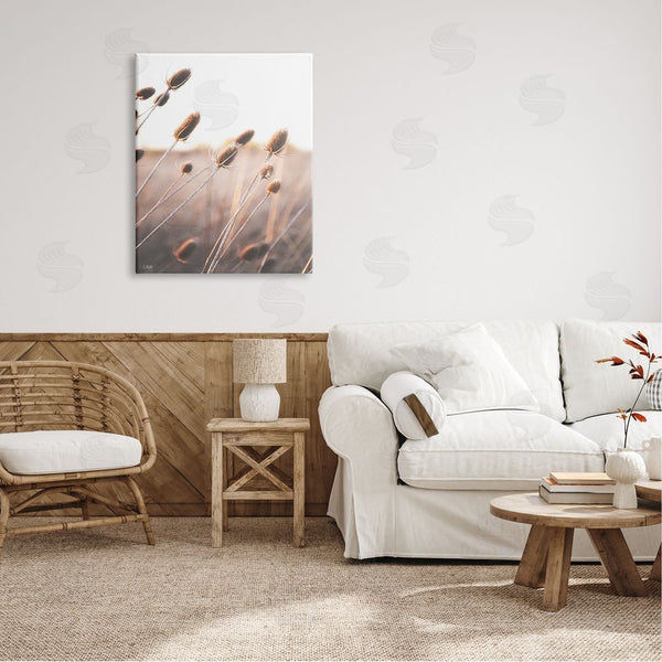 Stupell Industries Donnie Quillen | Tranquil Plant Buds Sprouts Country Meadow Grass Wall Art