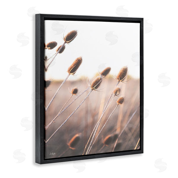 Stupell Industries Donnie Quillen | Tranquil Plant Buds Sprouts Country Meadow Grass Wall Art