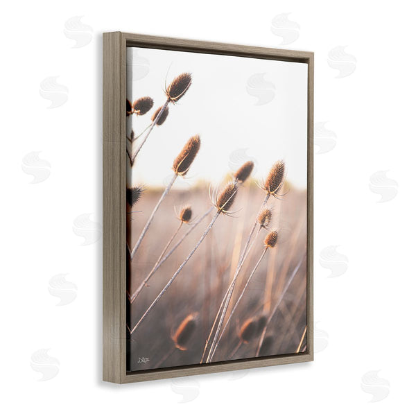 Stupell Industries Donnie Quillen | Tranquil Plant Buds Sprouts Country Meadow Grass Wall Art