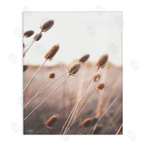 stupell industries Donnie Quillen | Tranquil Plant Buds Sprouts Country Meadow Grass Wall Art