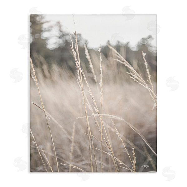 stupell industries Donnie Quillen | Warm Rural Field Tall Grass Countryside Scenery Wall Art