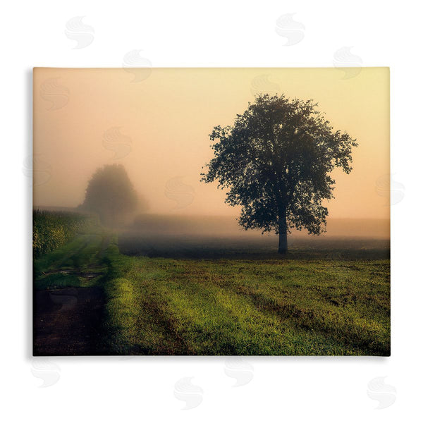 stupell industries Dora Artemiadi | Misty Morning Sunrise Countryside Tree Field Wall Art