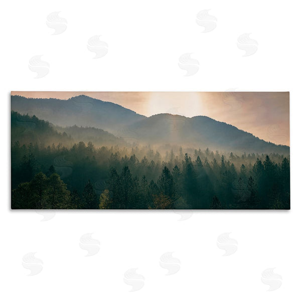 stupell industries Dora Artemiadi | Morning Sun over Misty Trees Wall Art