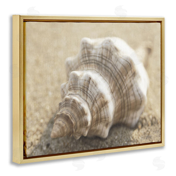 Stupell Industries Dora Rotondella | Neutral Tone Conch Shell