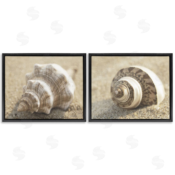 Stupell Industries Dora Rotondella | Neutral Tone Sea Life