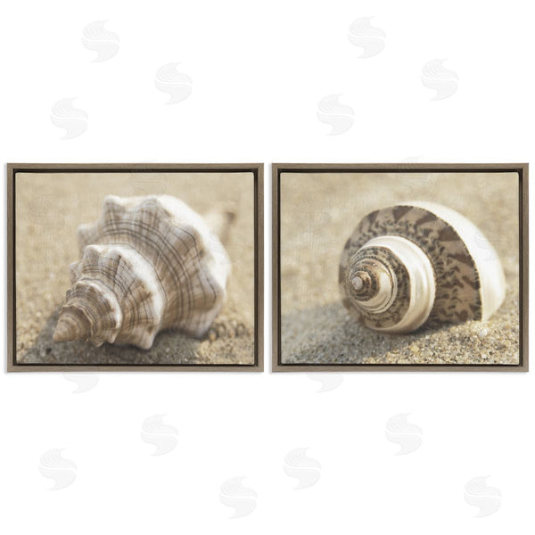 Stupell Industries Dora Rotondella | Neutral Tone Sea Life