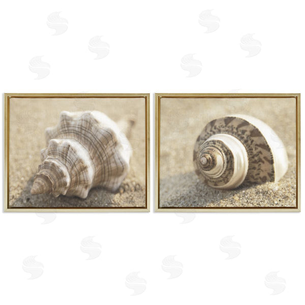 Stupell Industries Dora Rotondella | Neutral Tone Sea Life