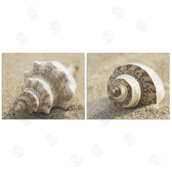 stupell industries Dora Rotondella | Neutral Tone Sea Life