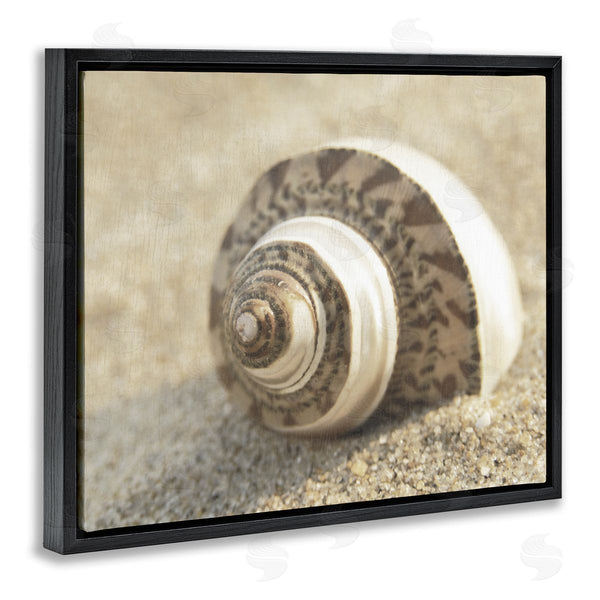Stupell Industries Dora Rotondella | Neutral Tone Seashell