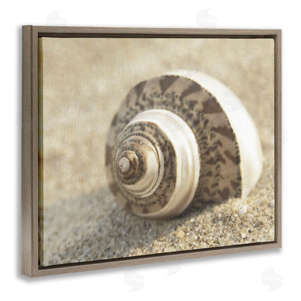 Stupell Industries Dora Rotondella | Neutral Tone Seashell
