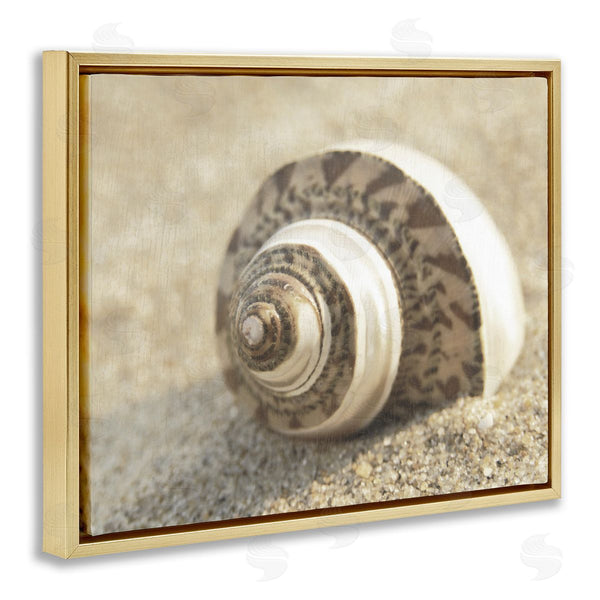 Stupell Industries Dora Rotondella | Neutral Tone Seashell
