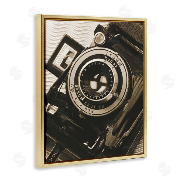 Stupell Industries Ed Goldstein | Vintage Camera Sepia Photograph