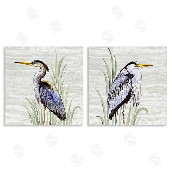 stupell industries Elena Vladykina | Coastal Birds on Birch Wall Art