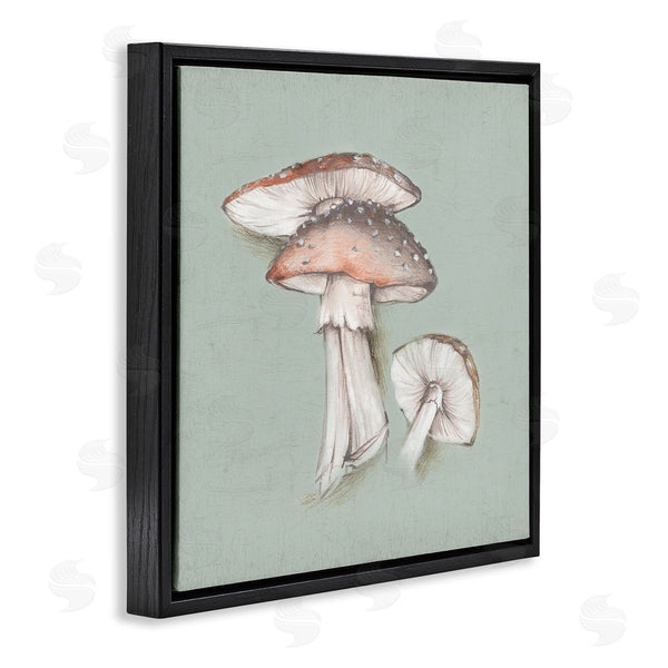 Stupell Industries Eli Jones | Mushroom Bunch Drawing Wall Art